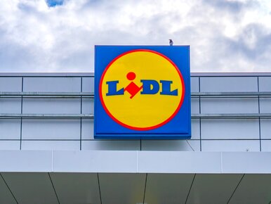 Miniatura: Lidl tnie ceny tylko do jutra. Schab za...