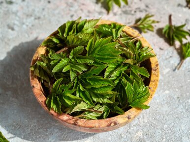 Miniatura: Łagodzi zapalenia i wspiera trawienie. Dla...