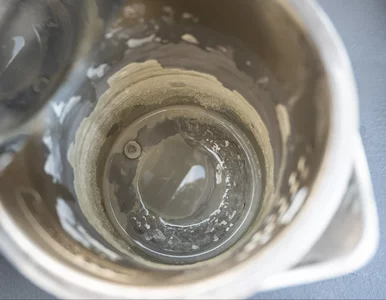 Miniatura: Kamień z czajnika usuwam bez...