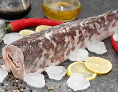 Miniatura: Zapomniana ryba z Polski, którą warto...