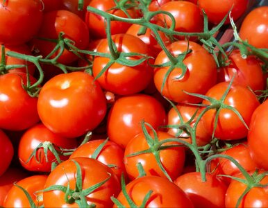 Miniatura: W Biedronce pomidory tanie jak na...