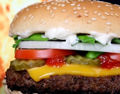 Miniatura: Polacy kochają fast-foody
