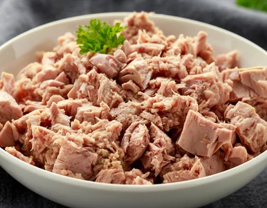 Miniatura: Biorę tuńczyka z puszki i robię coś...