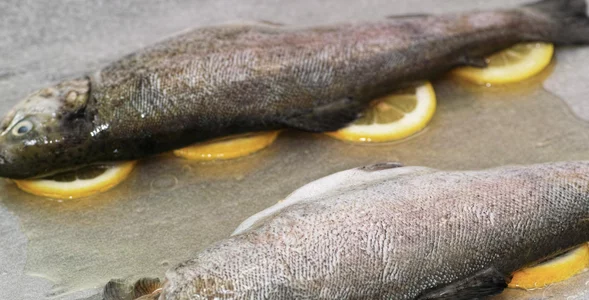 Miniatura: Tak babcia sprawdzała, czy ryba jest...