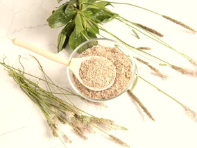 Miniatura: 2 łyżeczki tych nasion wspierają jelita,...