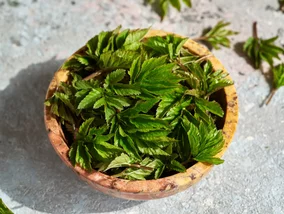 Miniatura: Łagodzi zapalenia i wspiera trawienie. Dla...