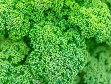 Miniatura: Podnosi odporność, wzmacnia serce i kości....