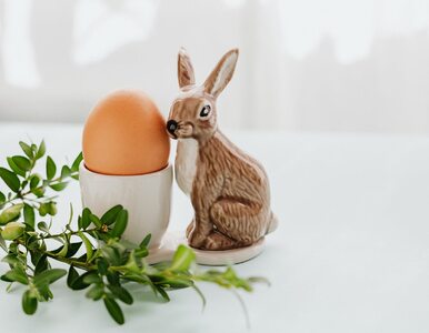 Jajko wielkanocne: co symbolizuje? 3 przepisy na wielkanocne jaja