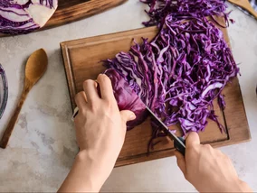 Miniatura: Zamówiłem ją w Pradze do kaczki. Ta...