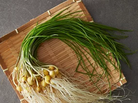 Miniatura: Polacy depczą go na trawnikach, myśląc że...