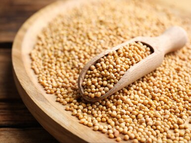 Miniatura: Te maleńkie ziarenka Polacy omijają w...