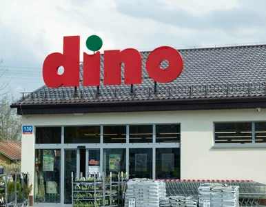 Miniatura: W Dino były po 24,99 zł, od dzisiaj są po...