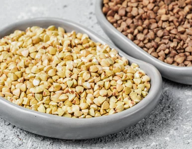 Miniatura: Większość bierze tę ciemniejszą. A to...