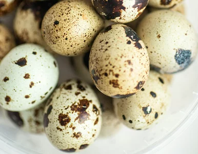 Miniatura: Pożywniejsze od popularnych odpowiedników....