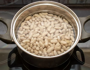 Miniatura: Z białej fasoli i aromatycznego dodatku...