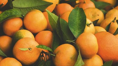 Miniatura: Zimą zawsze sprawdzam skórkę mandarynek....