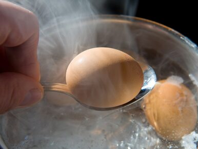 Miniatura: Jak ugotować jajka? Długo szukałem...