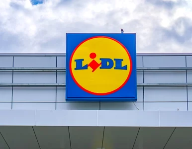 Miniatura: Lidl tnie ceny tylko do jutra. Schab za...
