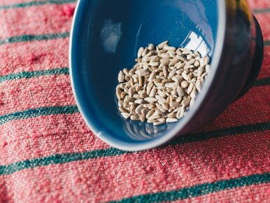 Miniatura: Kosztują grosze, a obniżają cukier i...