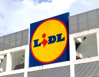 Miniatura: Od dziś w Lidlu za 2,99 zł zamiast 7,99...