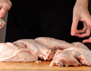 Miniatura: Z jednego kurczaka mam trzy obiady....