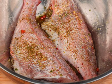 Miniatura: Tę smaczną, zdrową rybę uznano za...