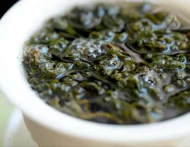 Miniatura: Wystarczą 2 szklanki dziennie. Zieloną...