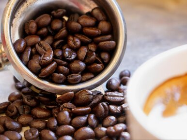 Miniatura: „1+1 gratis” na ulubioną kawę Polaków....