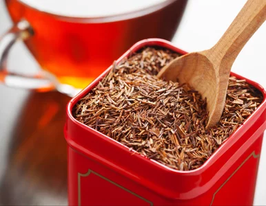 Miniatura: Nie ma kofeiny i wspiera wątrobę. Ta...