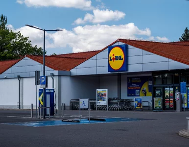 Miniatura: Lidl znów to zrobił i aż szkoda nie...