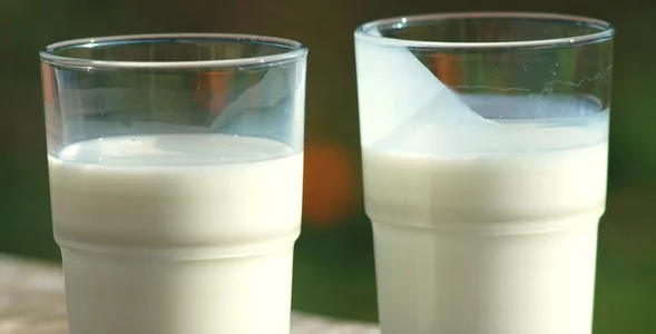 Miniatura: Obniża cukier, wzmacnia stawy. Seniorzy...