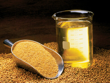 Miniatura: Tym olejem wzmacniam serce i pamięć....