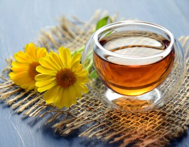 Herbata z chryzantemy – czy to nowy sposób na odchudzanie?