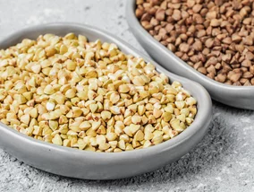 Miniatura: Większość bierze tę ciemniejszą. A to...