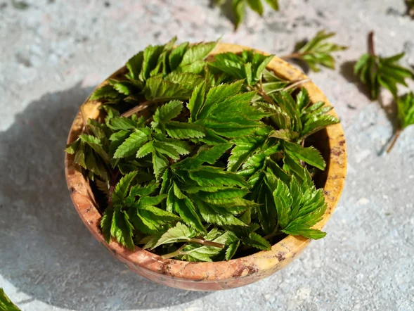 Miniatura: Łagodzi zapalenia i wspiera trawienie. Dla...