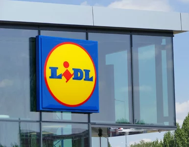 Miniatura: W Lidlu do środy 2,99 zł zamiast 12,99 zł....