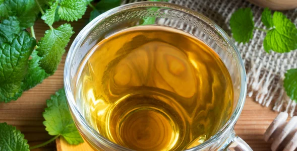 Miniatura: Po kolacji piję herbatkę z dwóch ziół....