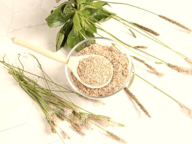 Miniatura: 2 łyżeczki tych nasion wspierają jelita,...