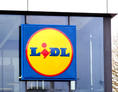 Miniatura: Od jutra Lidl tnie cenę z 22,90 zł na 6,90...