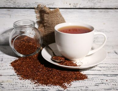 Czy herbata rooibos jest zdrowa? Poznaj 5 korzyści dla organizmu, jeśli...