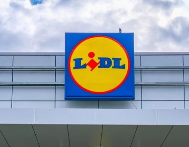 Miniatura: Od dziś w Lidlu za 3,79 zł zamiast 13,64...