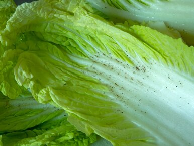 Miniatura: Wyglądają jak pleśń, ale czy szkodzą?...