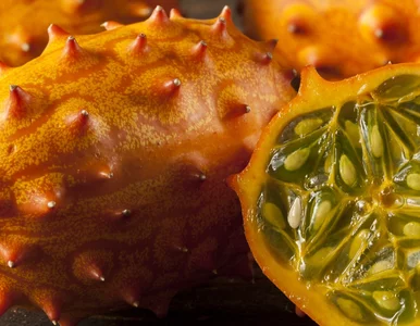 Miniatura: Wygląda jak ogórek z kolcami, a smakuje...