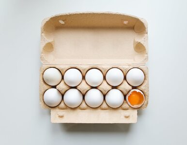 5 pomysłów na kreatywne wykorzystanie skorupek jaj