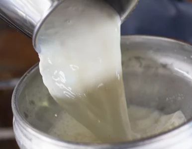 Miniatura: Jelita czekają na takie śniadanie. Mielę 2...